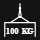 Payload Capacity: 100 kg